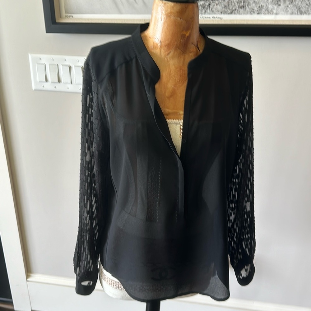 Sheer sleeve black blouse. Sheer bodice too
